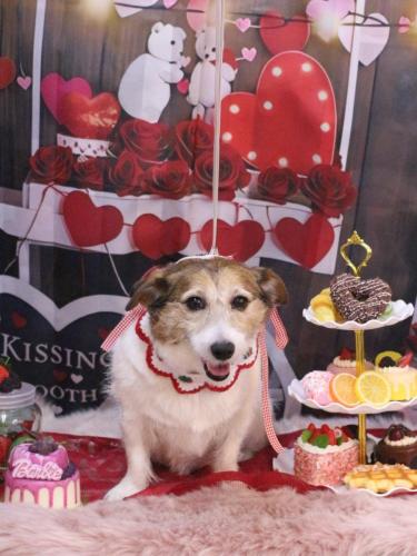 20250218こはるちゃん